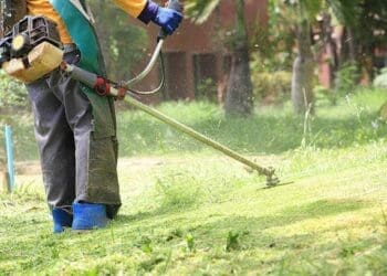 Grass cutting and tree trimming are no longer casual weekend jobs - they are now a viable pathway to entrepreneurship, with growing demand driven by urbanisation, institutional contracts, and homeowner expectations. Photo. Garden Services Gauteng