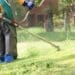 Grass cutting and tree trimming are no longer casual weekend jobs - they are now a viable pathway to entrepreneurship, with growing demand driven by urbanisation, institutional contracts, and homeowner expectations. Photo. Garden Services Gauteng