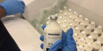 Minister of Agriculture John Steenhuisen says private vets will be allowed to administer vaccination to combat FMD