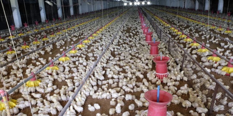 Small-scale farmers are set to benefit from a new innovative crowdfunding tool.