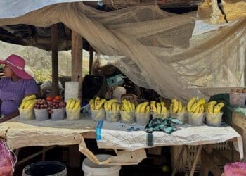 Plans by the City of Johannesburg to establish a fresh produce market in Soweto are being positioned as a major economic boost for township enterprises