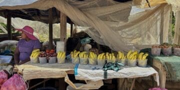 Plans by the City of Johannesburg to establish a fresh produce market in Soweto are being positioned as a major economic boost for township enterprises