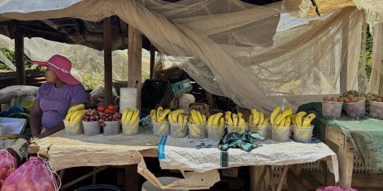 Plans by the City of Johannesburg to establish a fresh produce market in Soweto are being positioned as a major economic boost for township enterprises