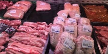 Small butchers and meat traders face pressure as ASF-related supply losses push pork prices higher.