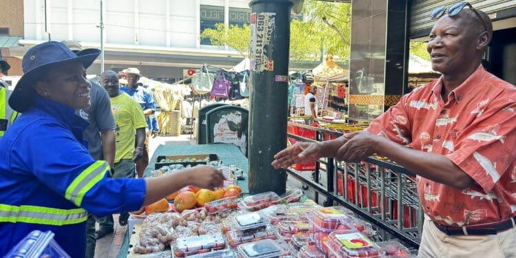 The City of Tshwane has approved the Informal Trade and Township Economy By-law. Photo. City of Tshwane