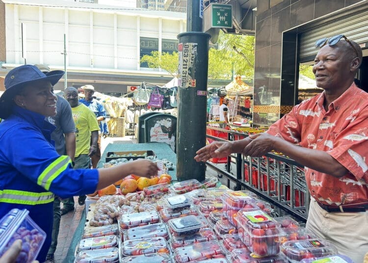 The City of Tshwane has approved the Informal Trade and Township Economy By-law. Photo. City of Tshwane