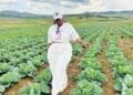 Lebohang Dhludhlu, founder of Nkanyezi Farming in eMalahleni.