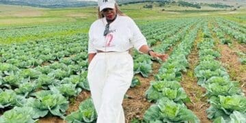 Lebohang Dhludhlu, founder of Nkanyezi Farming in eMalahleni.
