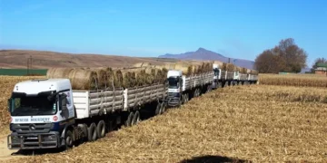 Having silage stored on-site helps farmers save time by reducing the need to source feed during shortages.