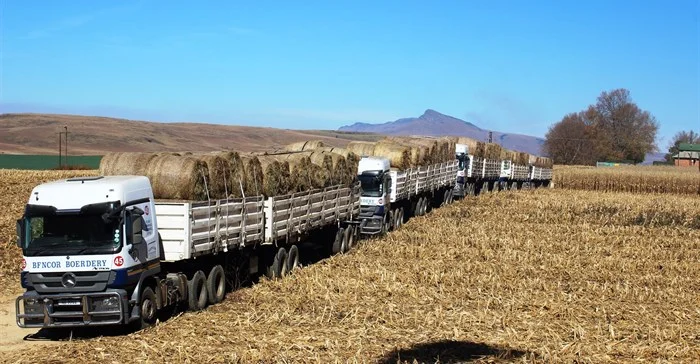 Having silage stored on-site helps farmers save time by reducing the need to source feed during shortages.