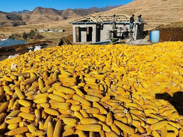 Farmers are saying the cost of farming is becoming harder to manage, with fuel, fertiliser, transport, and production inputs continuing to rise