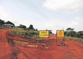 SMEs in Limpopo look forward to rebuilding and growth as the province prioritizes infrastructure and flood recovery in its R95.8bn budget. Photo: Lucas Ledwaba/Mukurukuru Media
