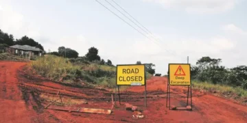 SMEs in Limpopo look forward to rebuilding and growth as the province prioritizes infrastructure and flood recovery in its R95.8bn budget. Photo: Lucas Ledwaba/Mukurukuru Media