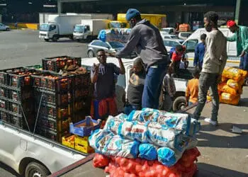 The market is expected to create opportunities for SMMEs in logistics, packaging, cold storage and produce distribution.