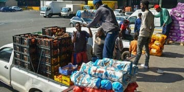 The market is expected to create opportunities for SMMEs in logistics, packaging, cold storage and produce distribution.