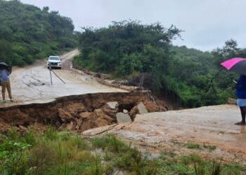 Small business operators in Limpopo have suffered losses as a result of damage caused by renewed floods in the province this week. Photo. Twitter/x