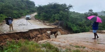 Small business operators in Limpopo have suffered losses as a result of damage caused by renewed floods in the province this week. Photo. Twitter/x