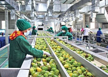 Small businesses are set to benefit from the latest investment drive, with dedicated opportunities in priority sectors. Photo. MMSEZ