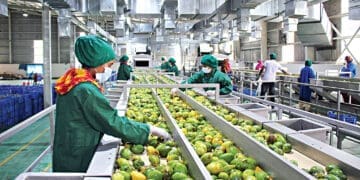 Small businesses are set to benefit from the latest investment drive, with dedicated opportunities in priority sectors. Photo. MMSEZ