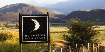 South African olive oil producer De Rustica Olive Estate has earned international recognition after winning first prize at the Nova Awards 2026 in Spain. Photo. DeRustica Estate
