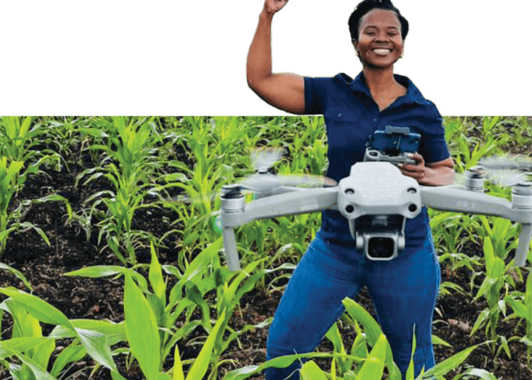 Bongiwe Nyawo merging information technology with agriculture with her company Nyawo Zendalo Air