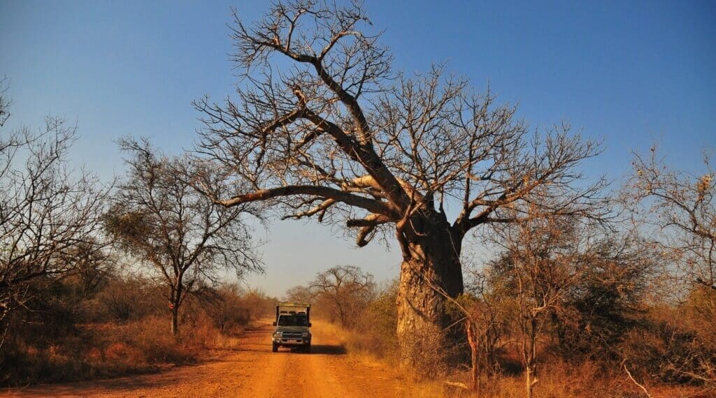 Limpopo is positioning tourism infrastructure as part of a broader economic development strategy aimed at attracting investors. Photo. Lucas Ledwaba\Mukurukuru Media