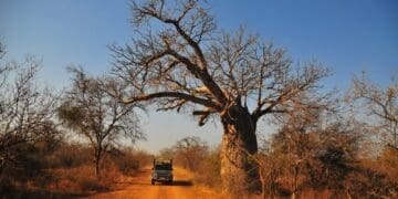 Limpopo is positioning tourism infrastructure as part of a broader economic development strategy aimed at attracting investors. Photo. Lucas Ledwaba\Mukurukuru Media