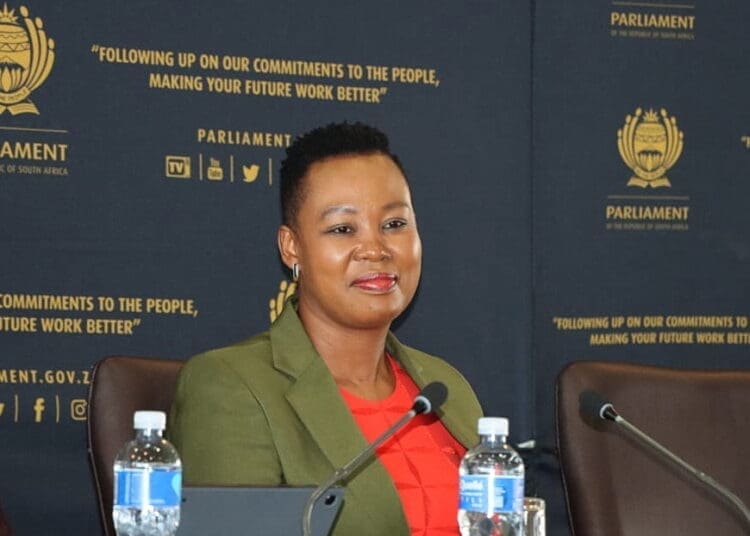 Minister of Small Business Development in South Africa, Stella Tembisa Ndabeni-Abrahams, says only foreign nationals who comply with South Africa’s immigration and business laws should be allowed to operate businesses in the country. Photo. Twitterx