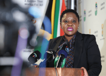 Department of Small Business Development Director-General Thulisile Manzini