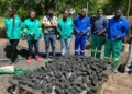 Workers at Dziphathu Green Tech Bio Briquette Project in Bende outside Pafuri Gate process organic waste into eco-briquettes used for cooking and heating.