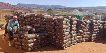 Morumotsho Charcoal Production produces both lump charcoal and briquettes for different markets.