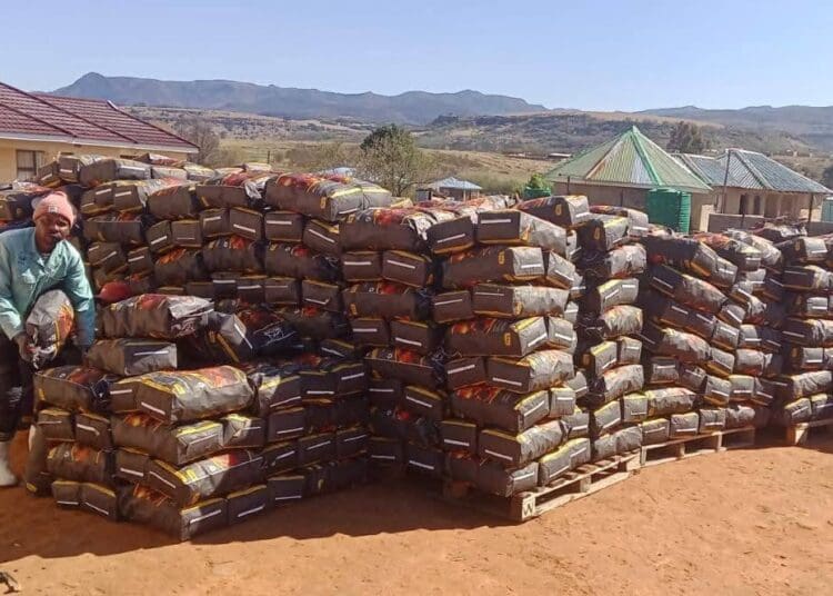Morumotsho Charcoal Production produces both lump charcoal and briquettes for different markets.