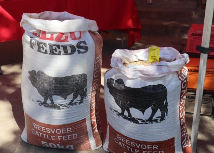 Emerging livestock farmers in Mpumalanga are being encouraged to improve animal health, production practices and traceability to access formal beef markets.