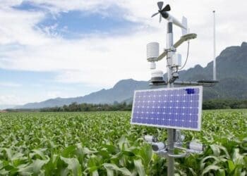 Standard Bank Group says it mobilised R3.45 billion for climate-smart agriculture over the past year. Photo. World Bank