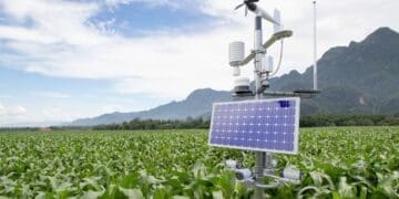 Standard Bank Group says it mobilised R3.45 billion for climate-smart agriculture over the past year. Photo. World Bank