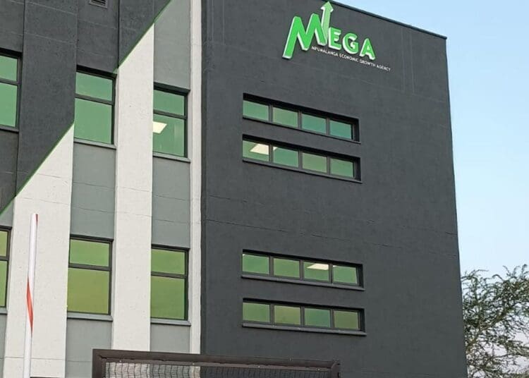 The newly appointed MEGA board is expected to strengthen governance and improve support for businesses across Mpumalanga.
